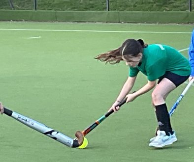 Hockey 3